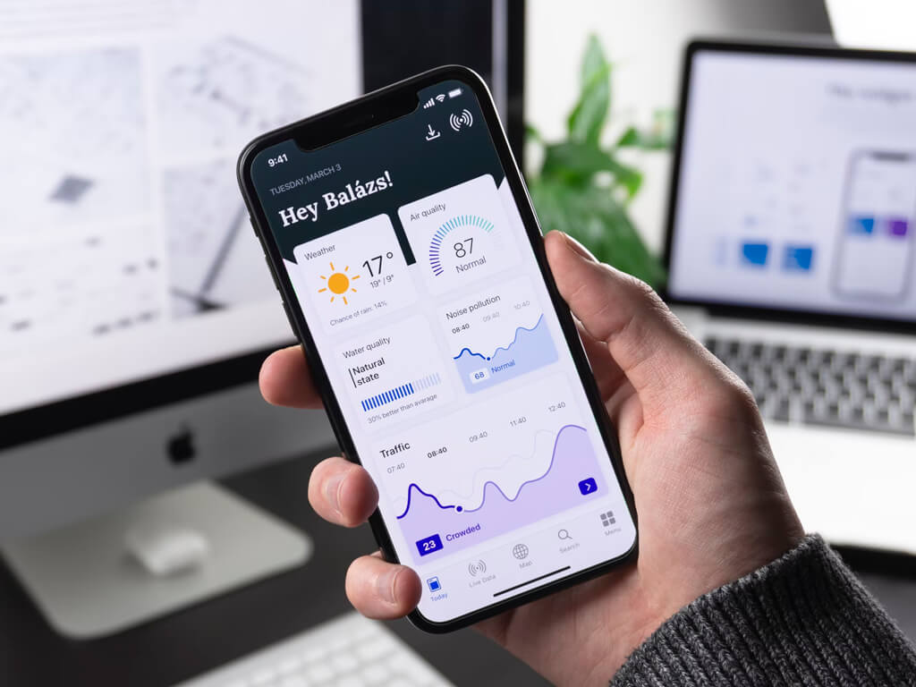 Mobile banking application interface